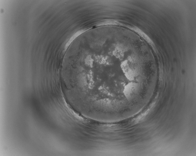 X0000065980953200603061211