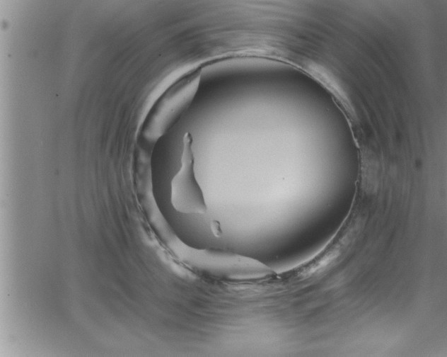 X0000065980956200603061211