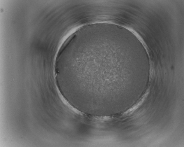 X0000065980957200603061211