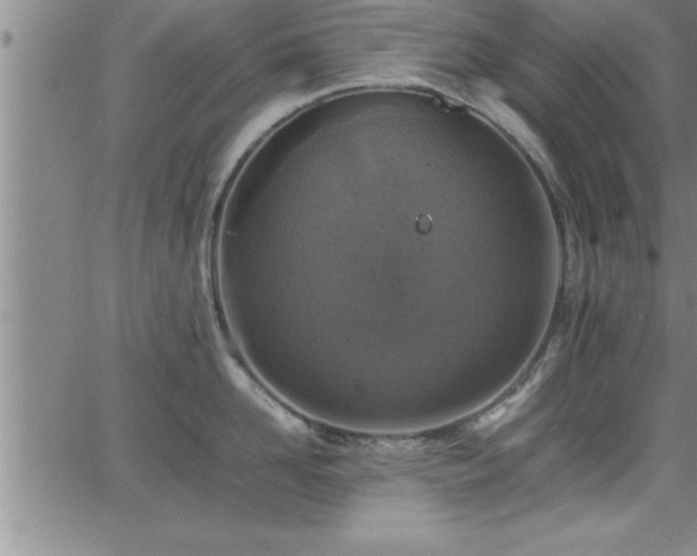 X0000065980958200603061211