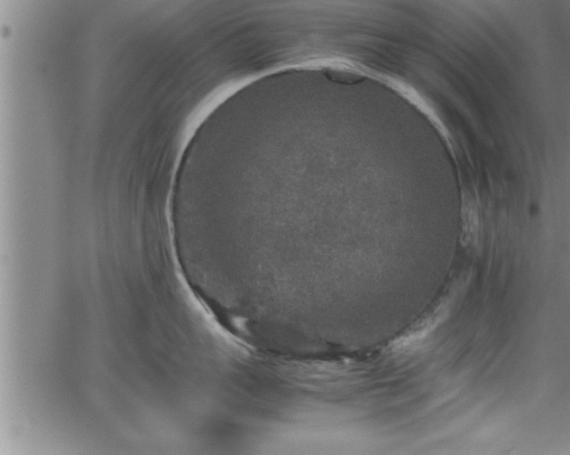 X0000065980959200603061211