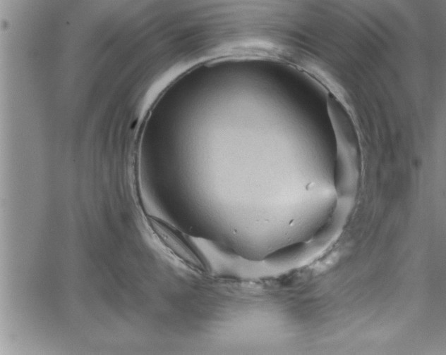 X0000065980960200603061211