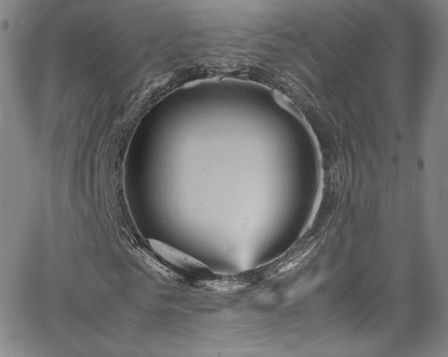 X0000065980961200603061210