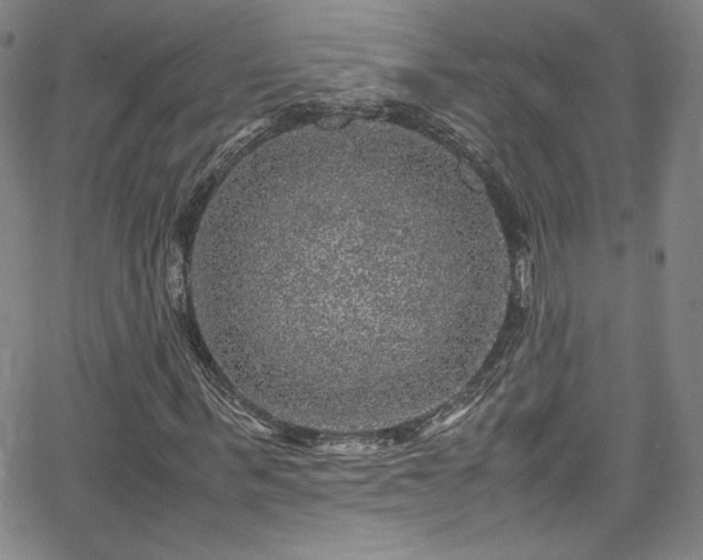 X0000065980963200603061210