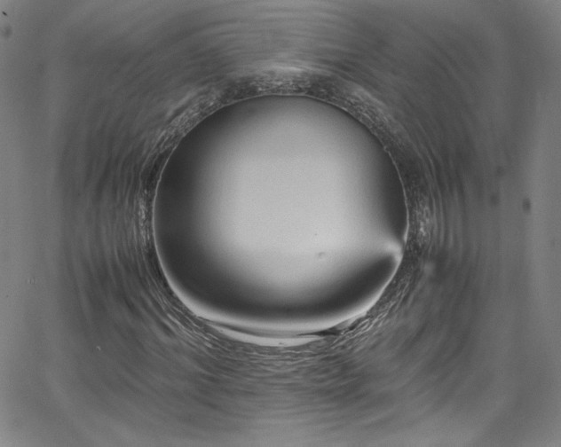 X0000065980964200603061210