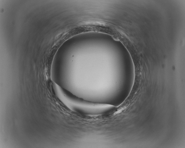 X0000065980965200603061210