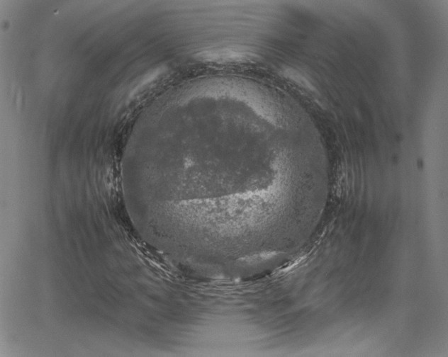 X0000065980966200603061210