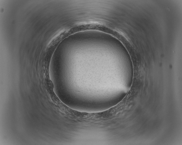 X0000065980967200603061210