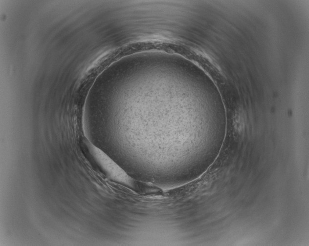 X0000065980968200603061210