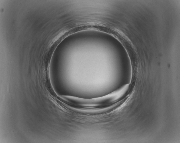 X0000065980969200603061210