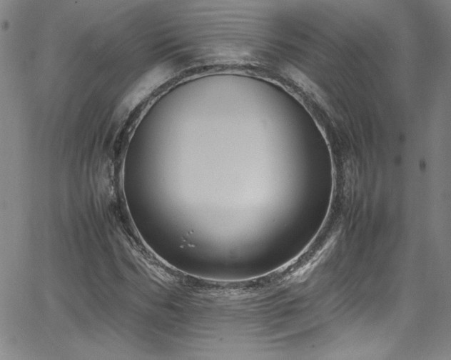 X0000065980970200603061210