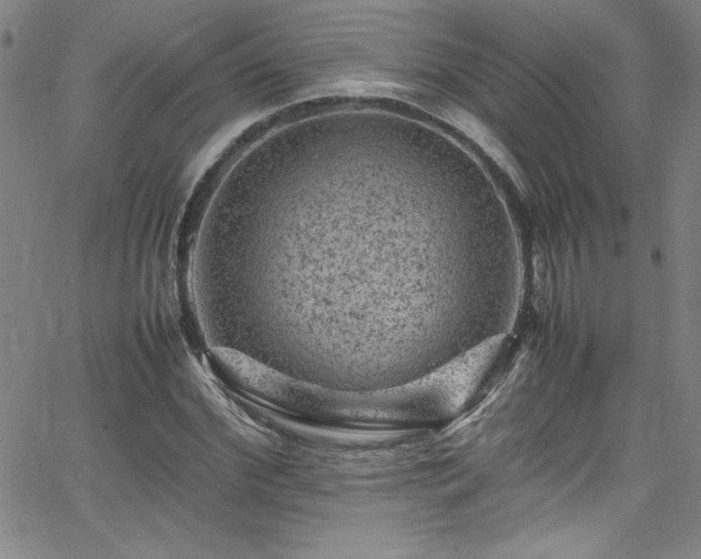 X0000065980972200603061210