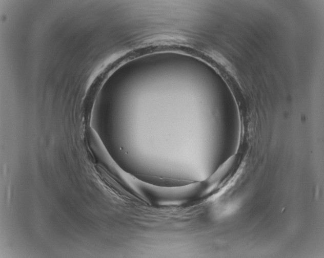 X0000065980973200603061210