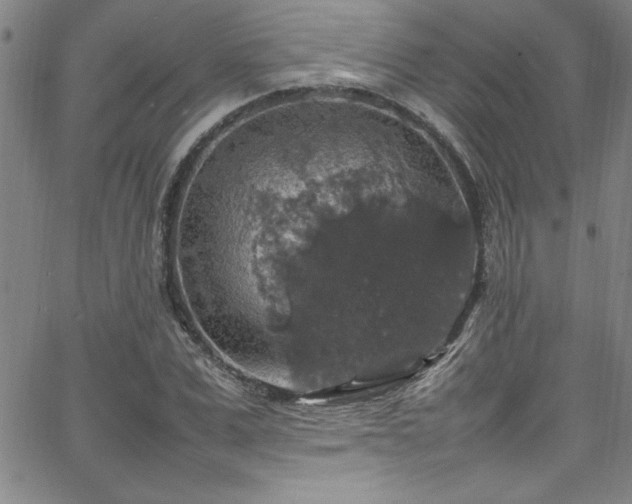 X0000065980975200603061210