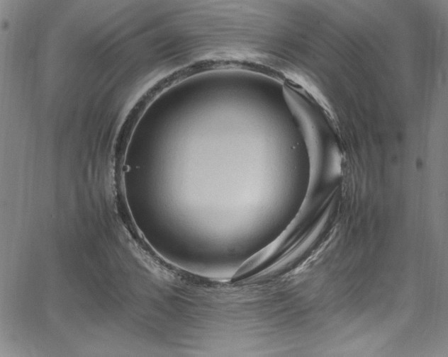 X0000065980976200603061210