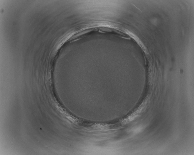 X0000065980977200603061210