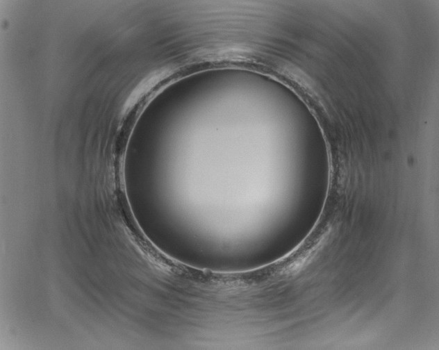 X0000065980978200603061210