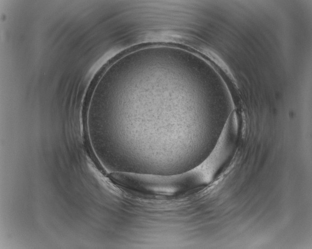 X0000065980980200603061210