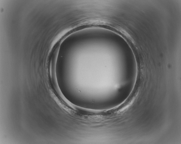 X0000065980981200603061210