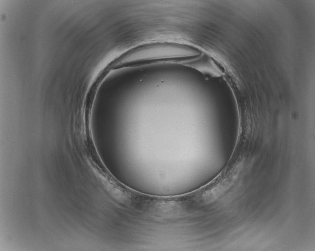 X0000065980982200603061210