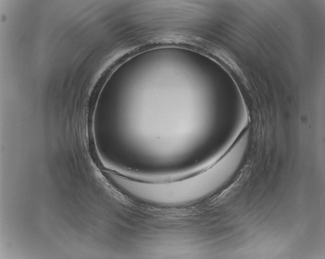 X0000065980984200603061210