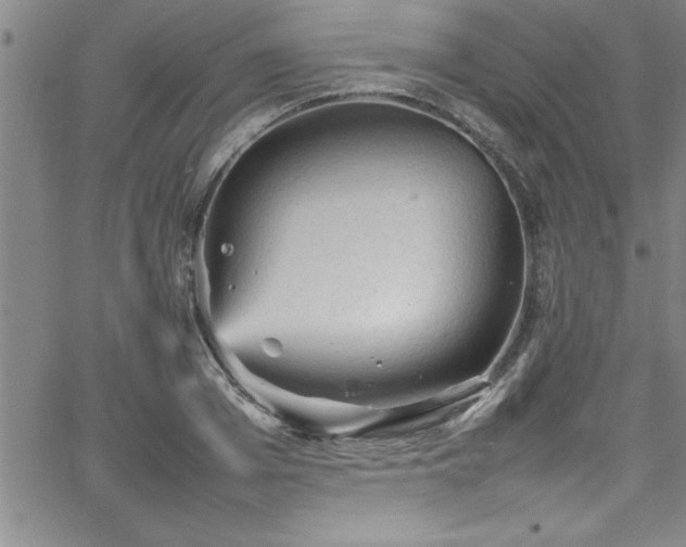 X0000065980985200603061210