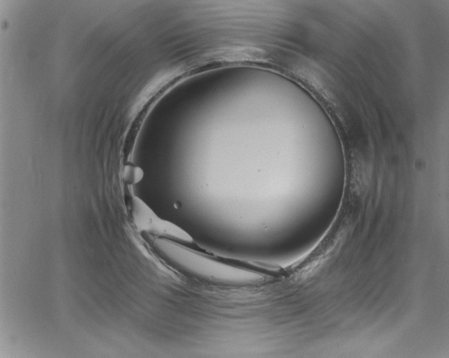 X0000065980986200603061210