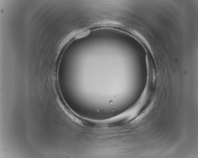 X0000065980989200603061210