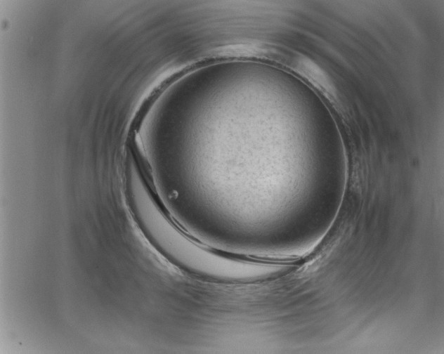 X0000065980992200603061210