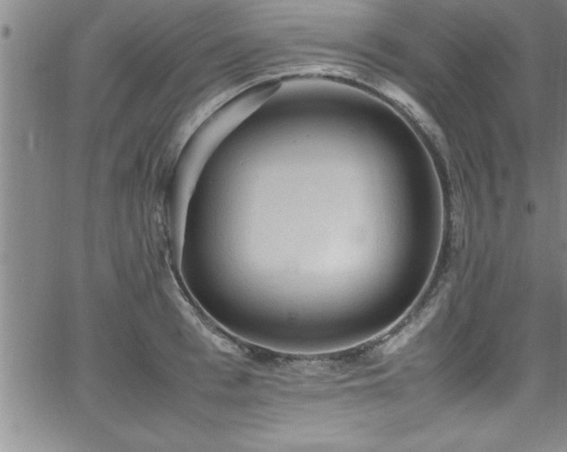 X0000065980993200603061210