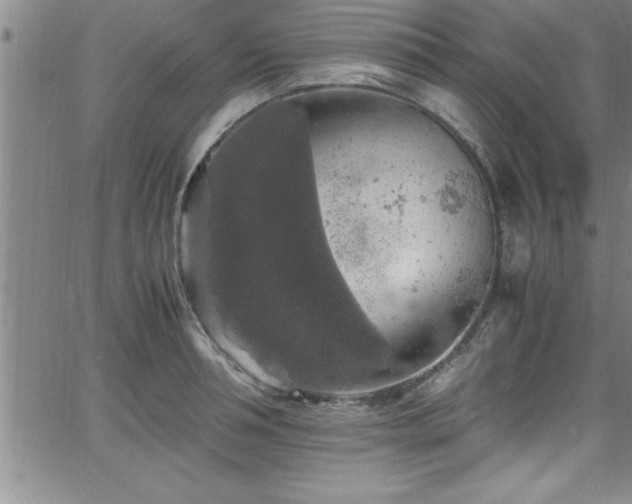 X0000065980994200603061210