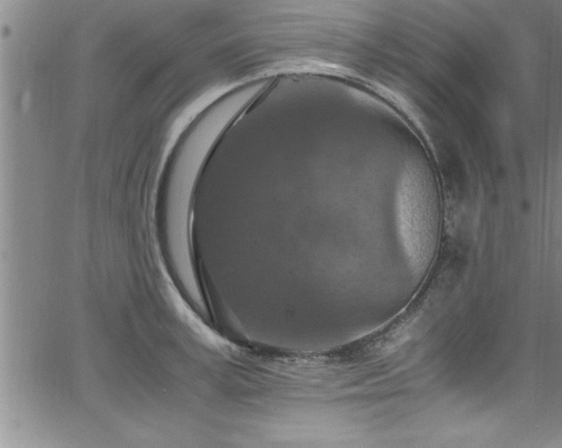 X0000065980995200603061210