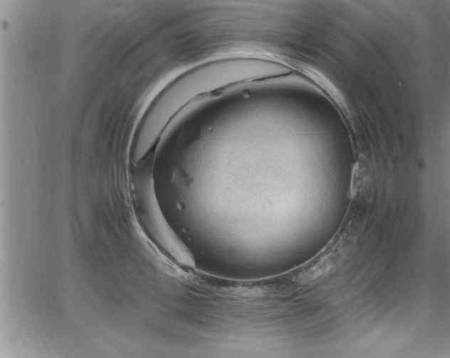 X0000065980996200603061210