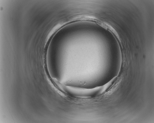 X0000065980997200603061210