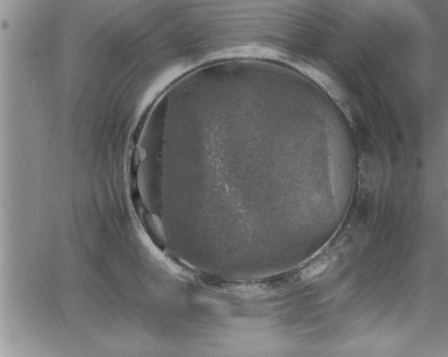 X0000065980998200603061210