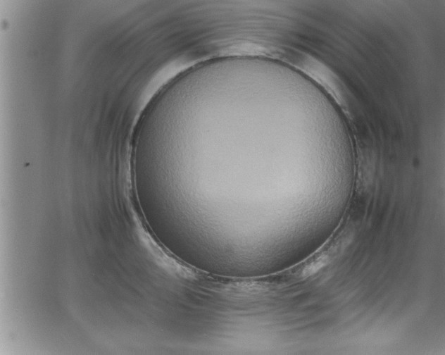 X0000065981000200603061210