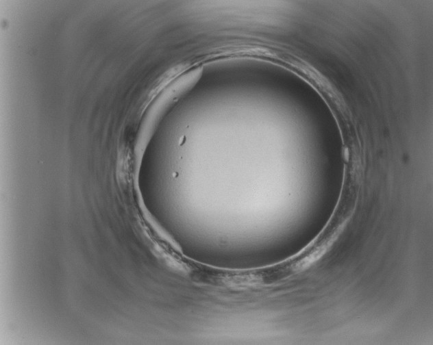 X0000065981001200603061210