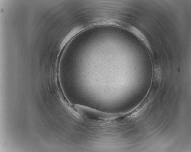 X0000065981002200603061210