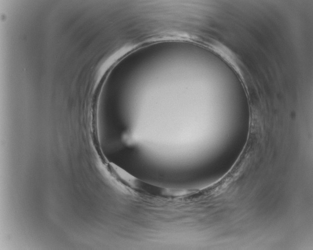 X0000065981003200603061210