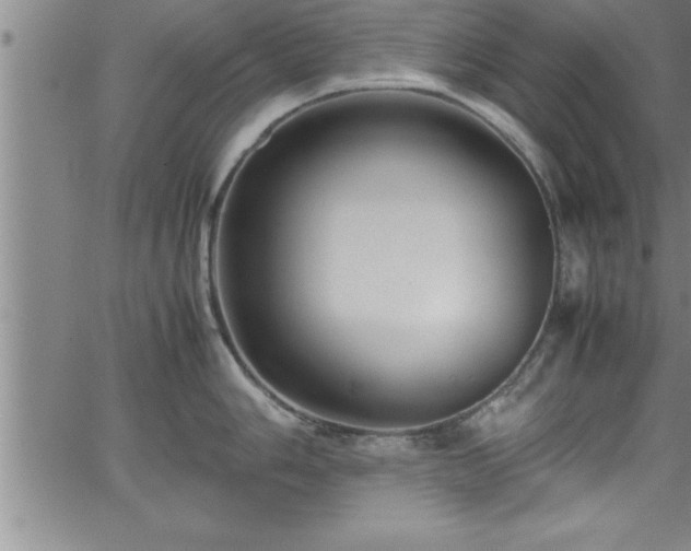 X0000065981006200603061210