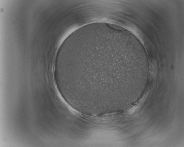 X0000065981007200603061210