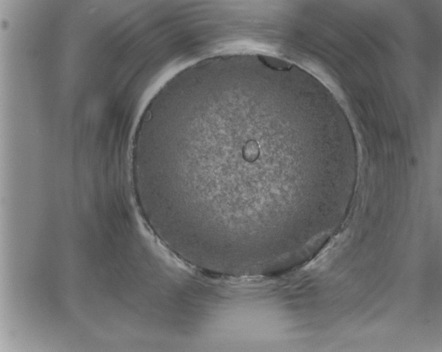 X0000065981008200603061210