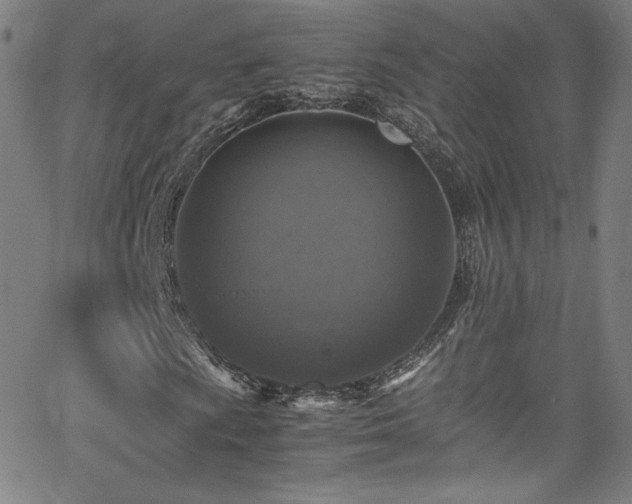 X0000065981009200603061209