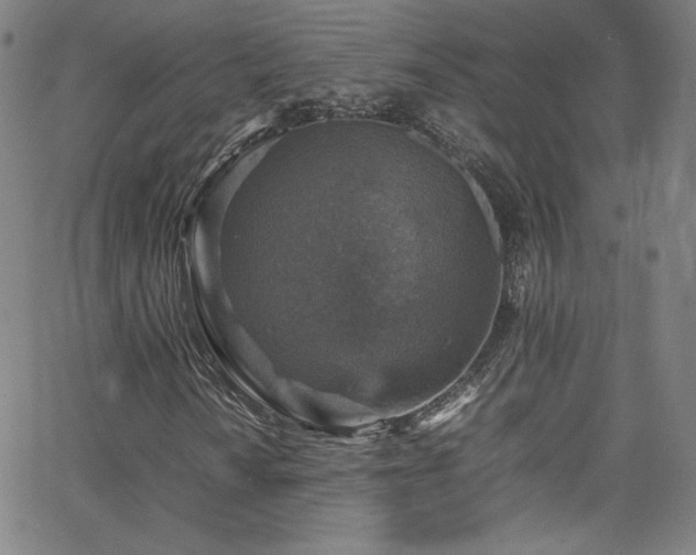 X0000065981010200603061209