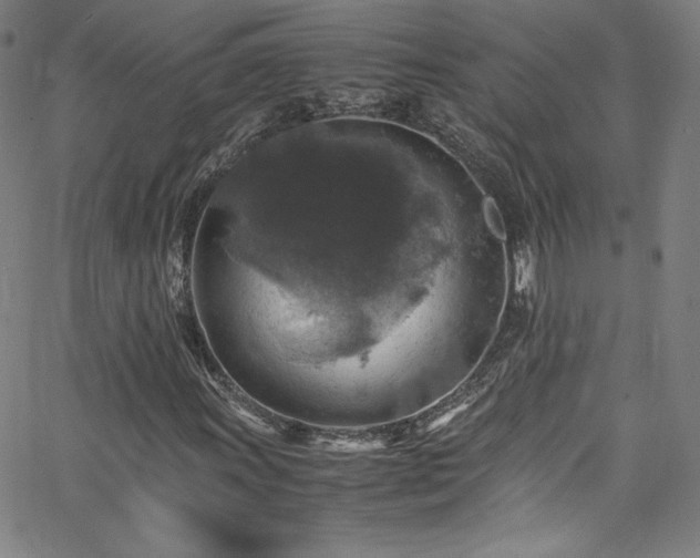 X0000065981011200603061209