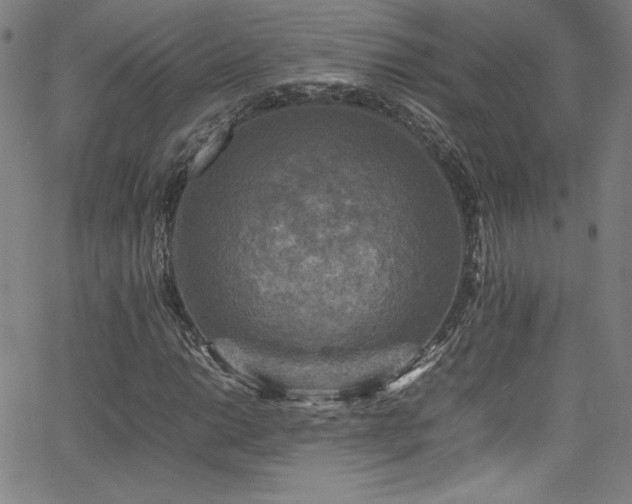 X0000065981014200603061209