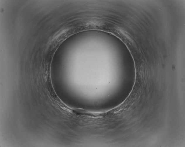 X0000065981015200603061209