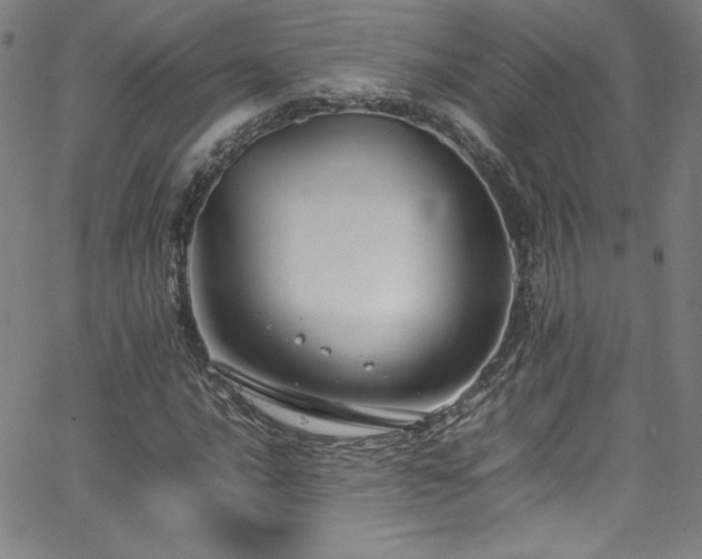 X0000065981016200603061209