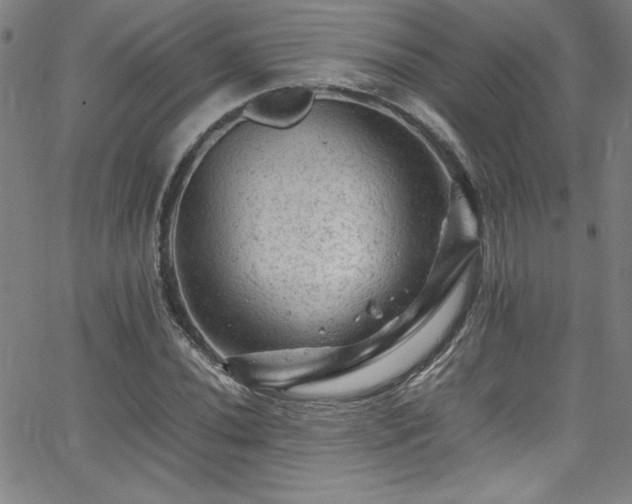 X0000065981020200603061209