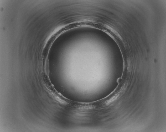 X0000065981021200603061209